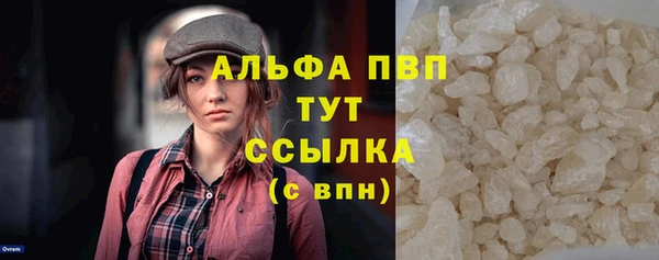 гашик Костерёво