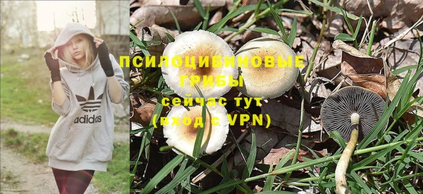 дживик Покровск
