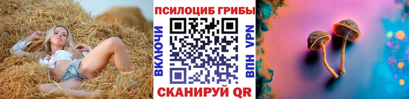 дарнет шоп  площадка Telegram  Псилоцибиновые грибы мухоморы  Снежногорск 