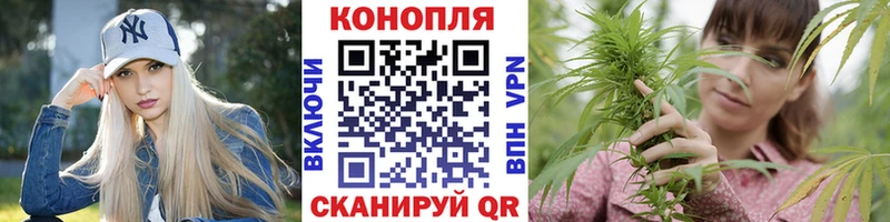 МАРИХУАНА сатива Снежногорск