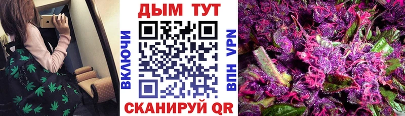 Каннабис THC 21%  купить закладку  площадка телеграм  Снежногорск 
